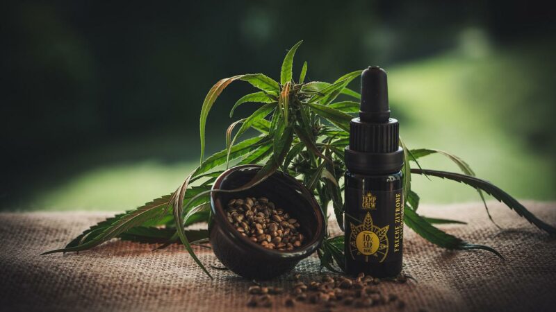 Badania wykazują, że medyczna marihuana może zastąpić niektóre lekarstwa