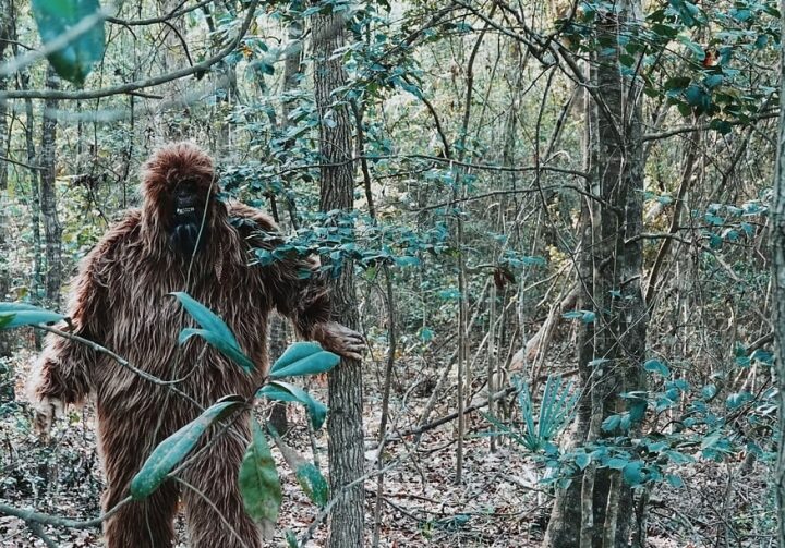 Yeti, Wielka Stopa i potwór z Loch Ness – prawda czy mit?