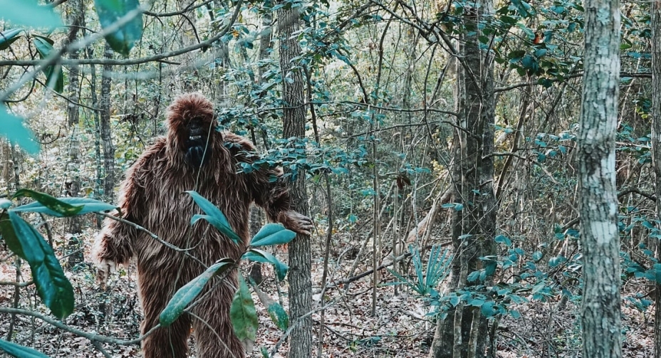 Yeti, Wielka Stopa i potwór z Loch Ness – prawda czy mit?