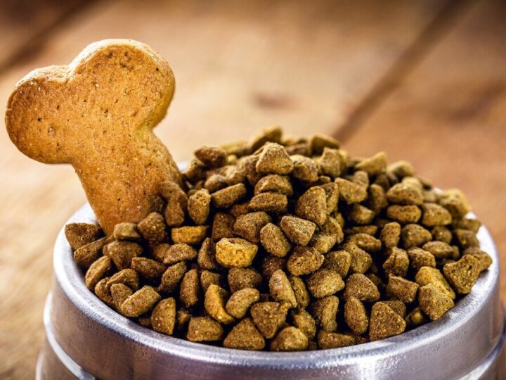 Domowe przepisy na lekkostrawne jedzenie dla psa