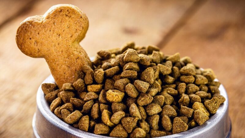 Domowe przepisy na lekkostrawne jedzenie dla psa