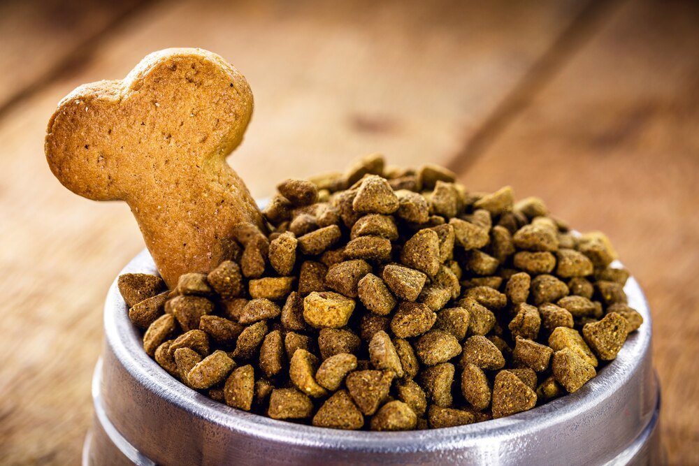 Domowe przepisy na lekkostrawne jedzenie dla psa